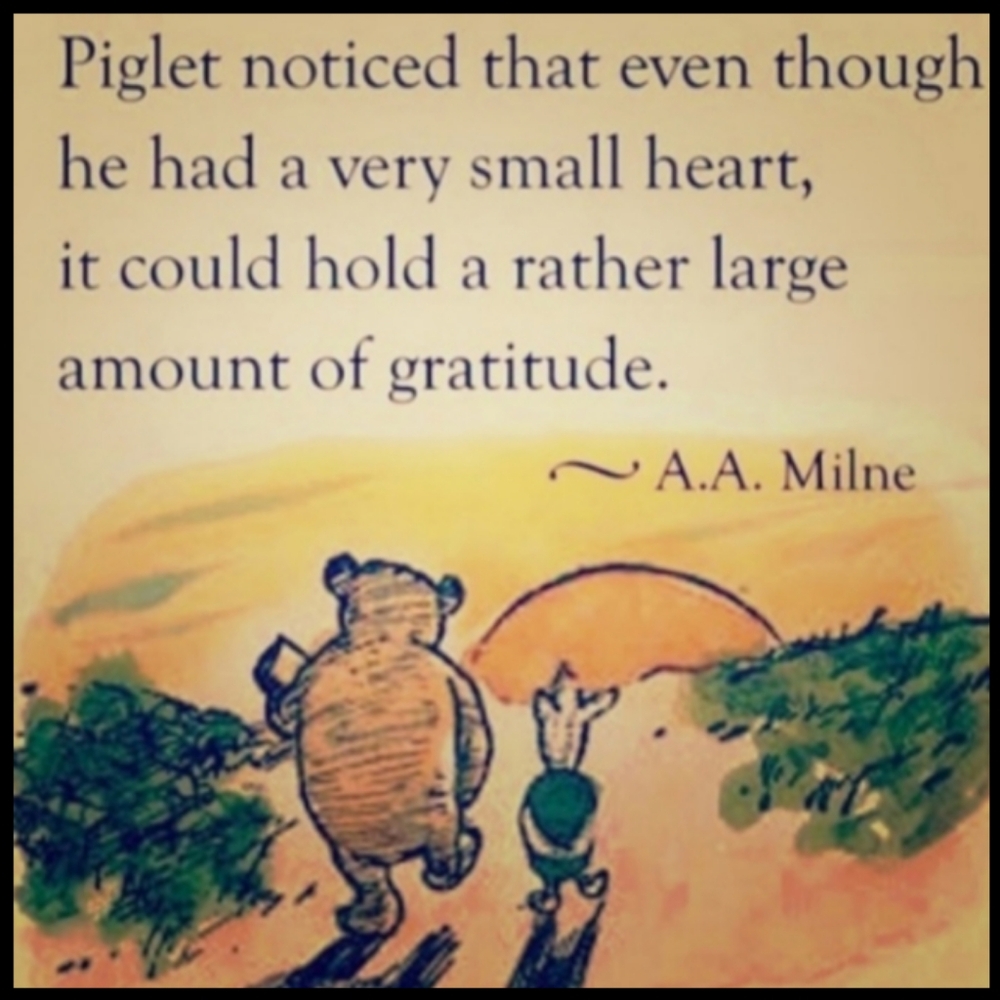 UnderTech  UNDER COVER  EPLC  WHITE CREW Sz MED CONCEAL CARRY - Picture 2 of 16